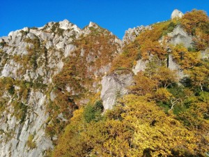 th_IMG_20150923_062201